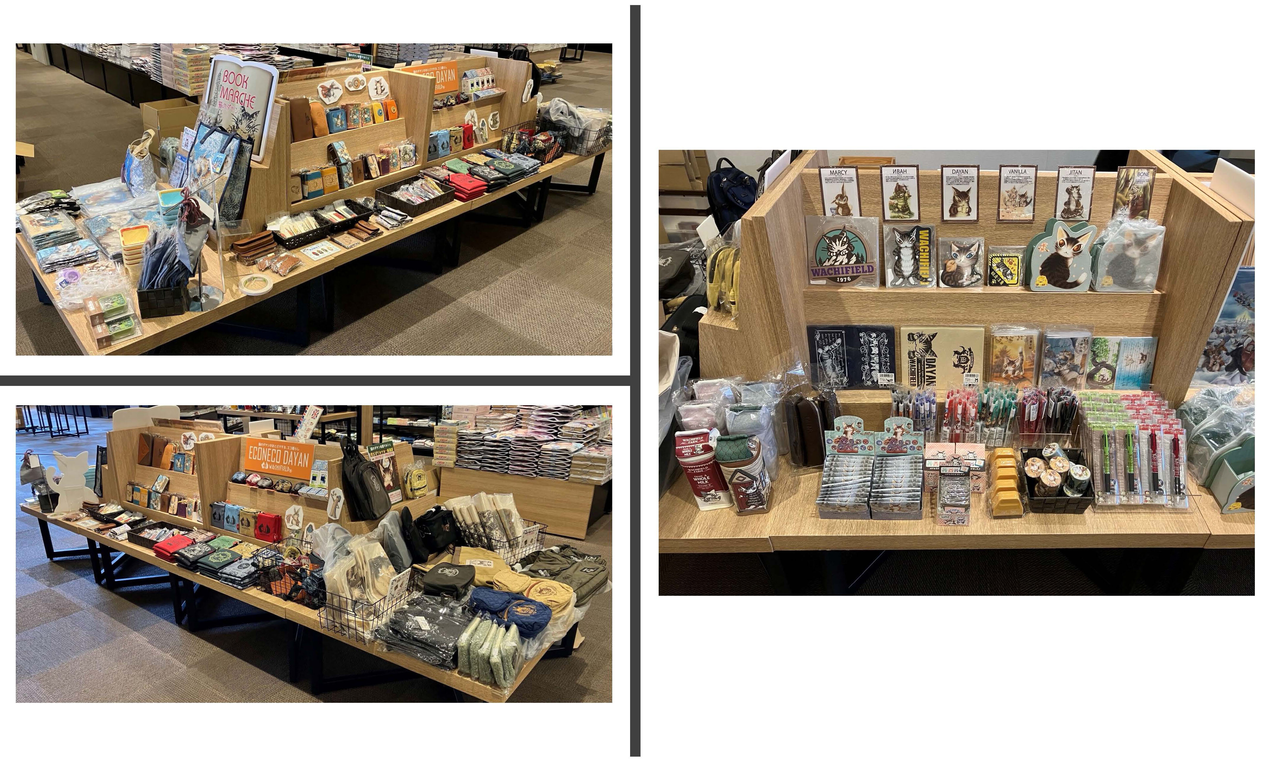 TSUTAYA 新涯店（広島県福山市）／猫のダヤン本屋マルシェのお知らせ